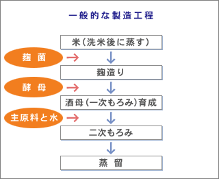 第11回 本格焼酎の作り方 本格焼酎と泡盛